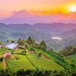 Travel in Uganda: The Pearl of Africa Adventure Guide